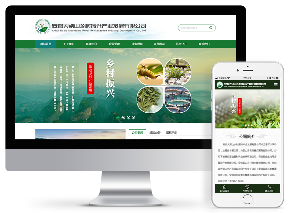 安徽大別山鄉(xiāng)村振興公司