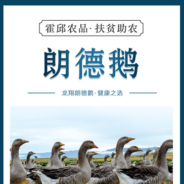 霍邱農(nóng)品扶貧助農(nóng)