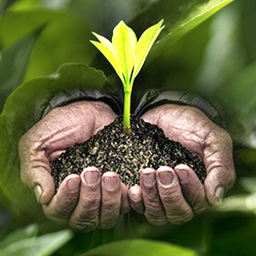 霍邱農(nóng)品扶貧助農(nóng)